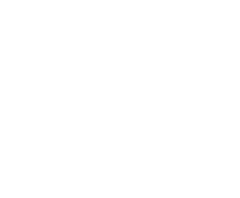 INADEM